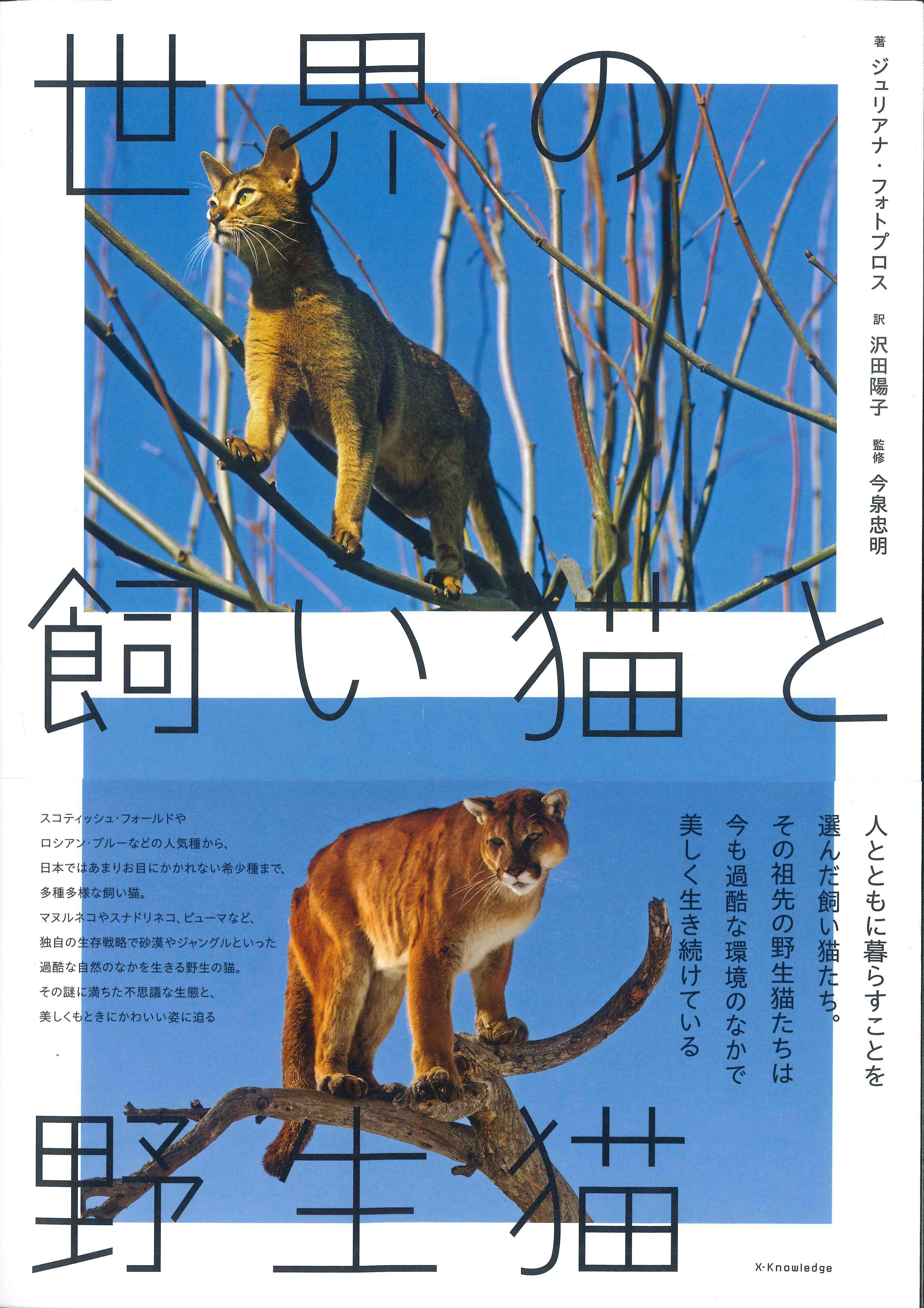 世界の飼い猫と野生猫