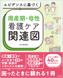 エビデンスに基づく周産期・母性看護ケア関連図