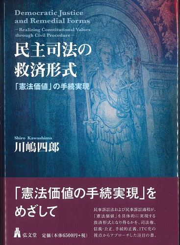 民主司法の救済形式