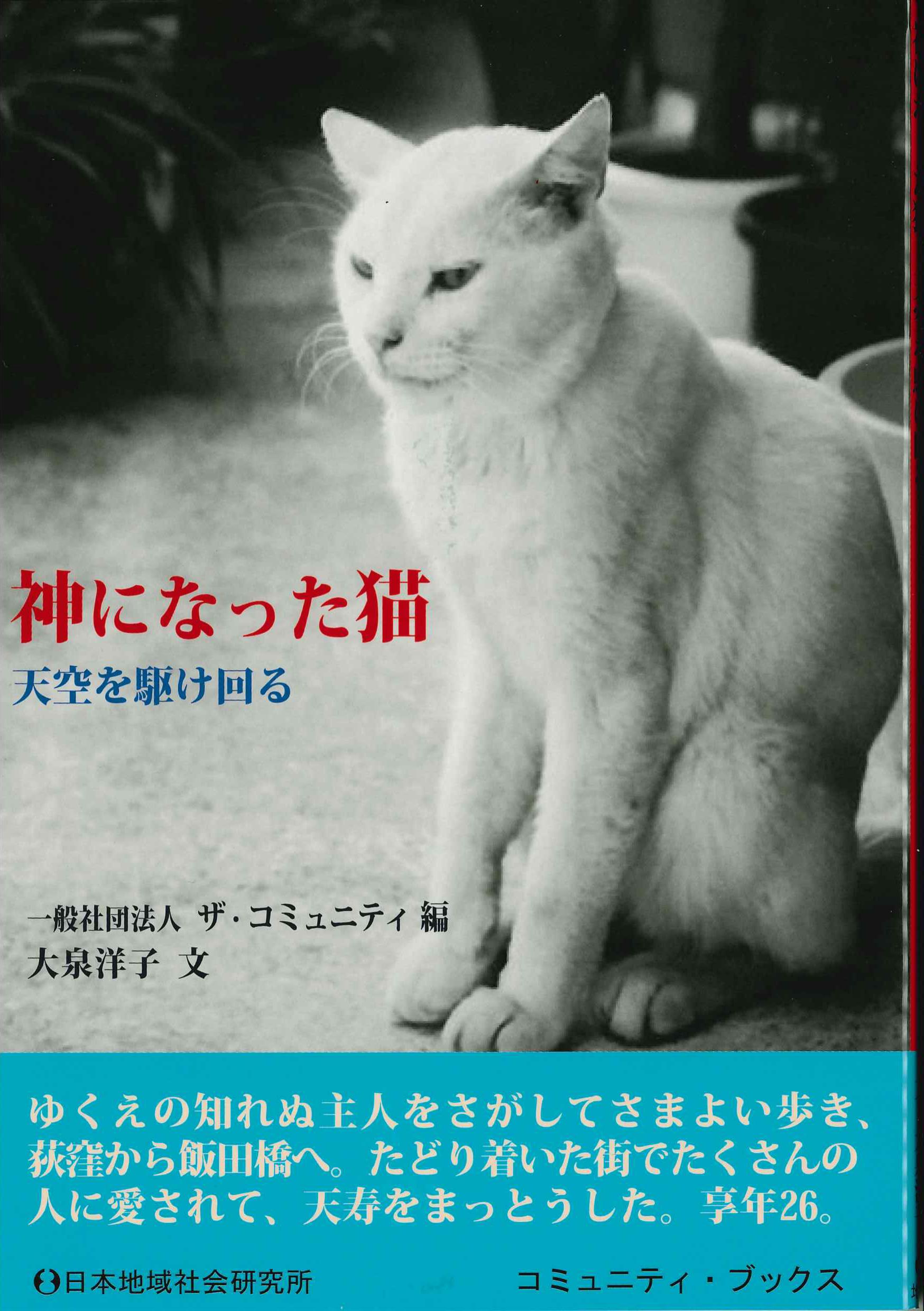 神になった猫　天空を駆け回る