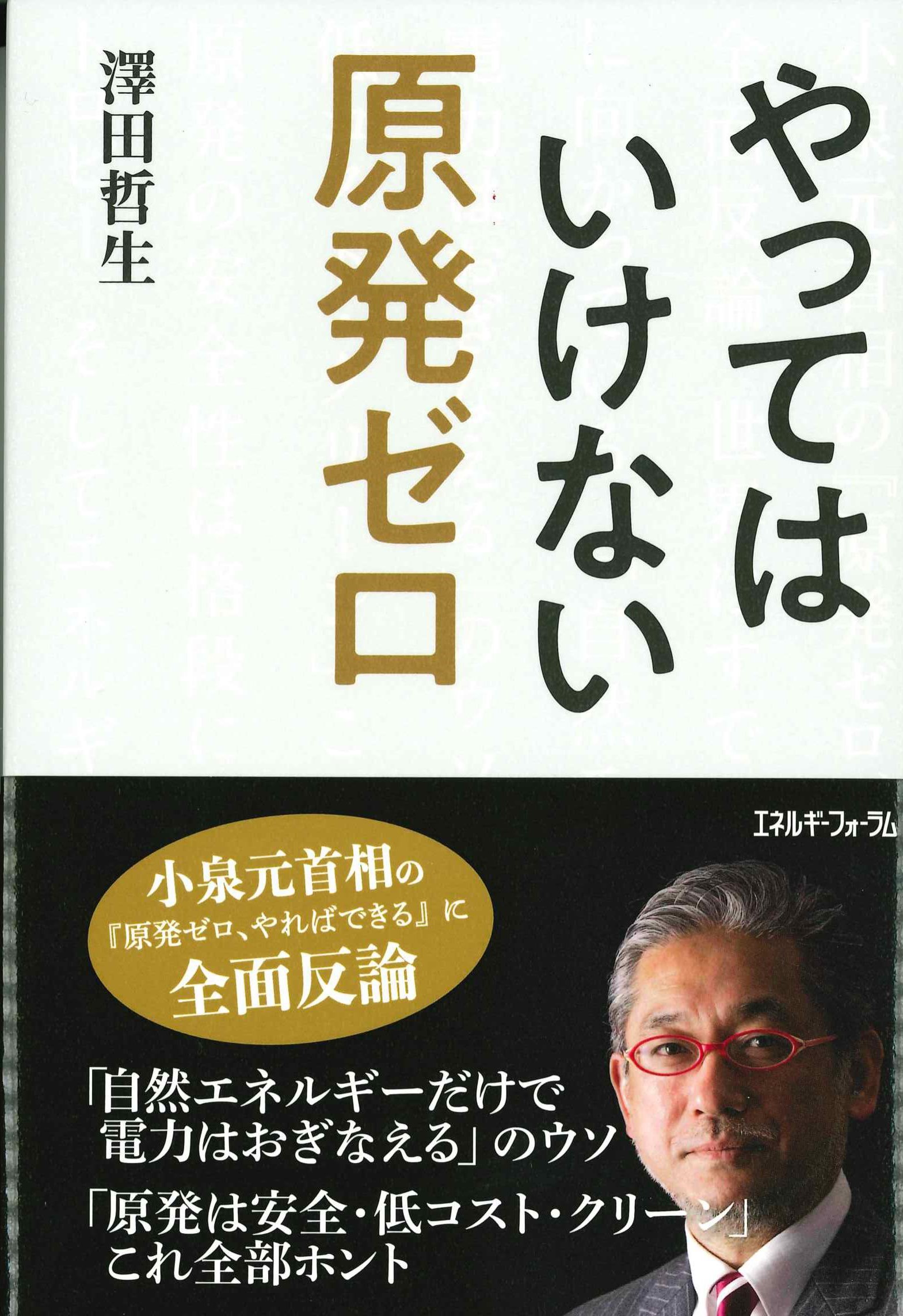 やってはいけない原発ゼロ